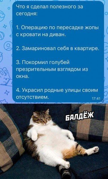 Что я сделал полезного за сегодня 1 Операцию по пересадке жопы с кровати на диван 2 Замариновал себя в квартире 3 Покормил голубей презрительным взглядом из окна 4 Украсил родные улицы своим отсутствием 1741