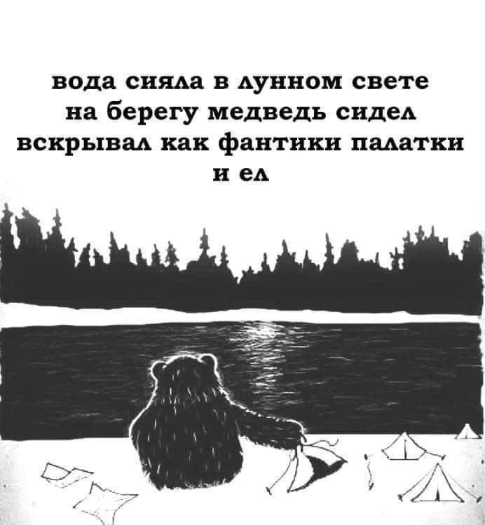 вода сияла в лунном свете на берегу медведь сидел вскрывал как фантики палатки иел