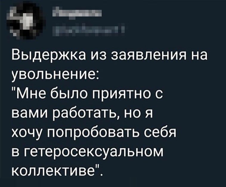 _ в Ва ао Выдержка из заявления на увольнение Мне было приятно с вами работать но я хочу попробовать себя в гетеросексуальном коллективе