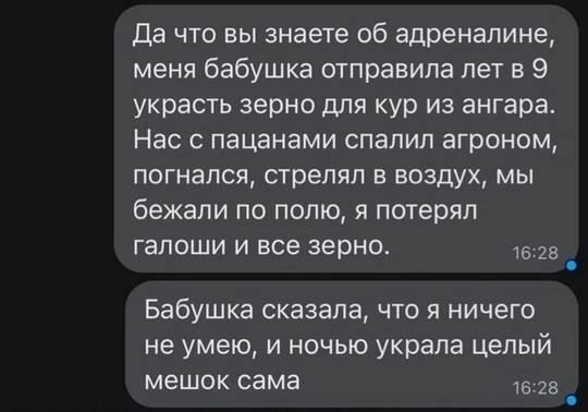 Да что вы знаете об адреналине меня бабушка отправила лет в 9 украсть зерно для кур из ангара Нас с пацанами спалил агроном погнался стрелял в воздух мы бежали по полю я потерял галоши и все зерно 16228 Бабушка сказала что я ничего не умею и ночью украла целый мешок сама 1628 е