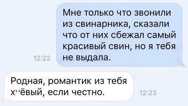 Мне только что звонили из свинарника сказали что от них сбежал самый красивый свин но я тебя не выдала Родная романтик из тебя хёвый если честно