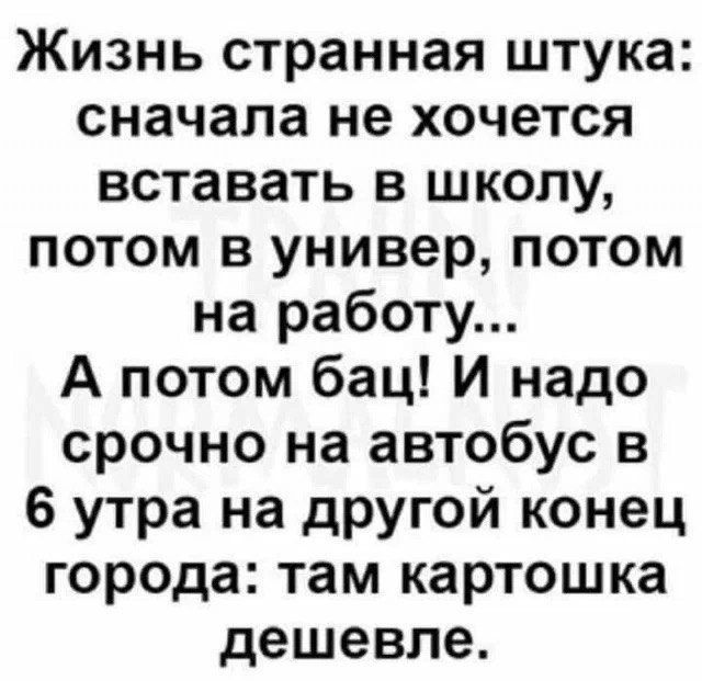 Жизнь странная штука сначала не хочется вставать в школу потом в универ потом на работу А потом бац И надо срочно на автобус в 6 утра на другой конец города там картошка дешевле