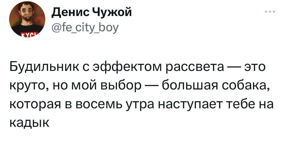 Денис Чужой е су Боу Будильник с эффектом рассвета это круто но мой выбор большая собака которая в восемь утра наступает тебе на кадык