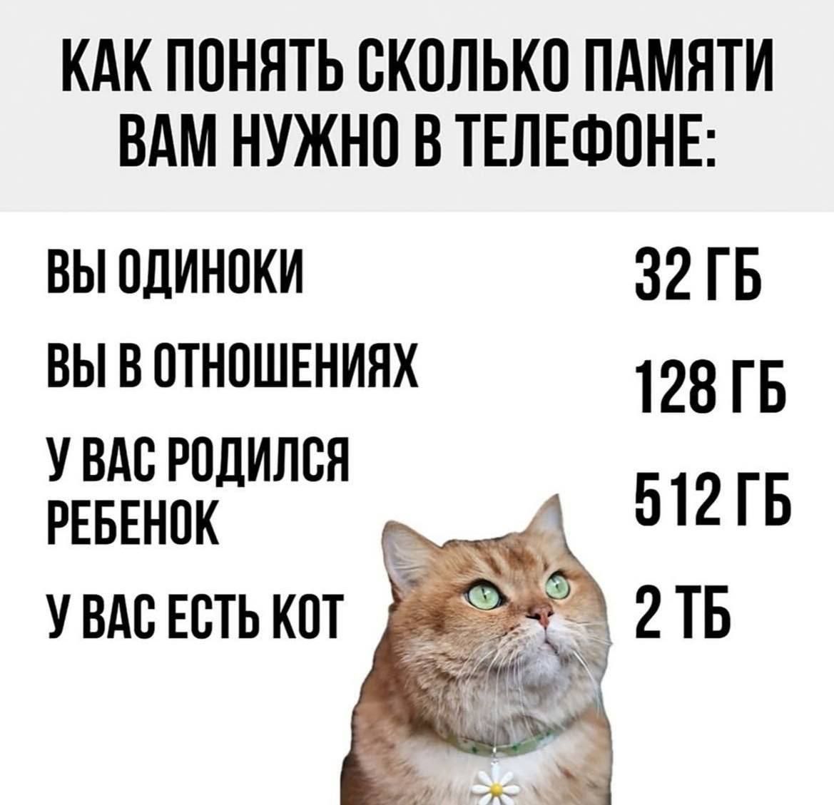 КАК ПОНЯТЬ СКОЛЬКО ПАМЯТИ ВАМ НУЖНО В ТЕЛЕФОНЕ ВЫ ОДИНОКИ 32 ГБ ВЫ В ОТНОШЕНИЯХ 128 ГБ УВАС РОДИЛСЯ РЕБЕНОК 512 ГБ УВАСЕСТЬ КОт Ма 2 ТБ