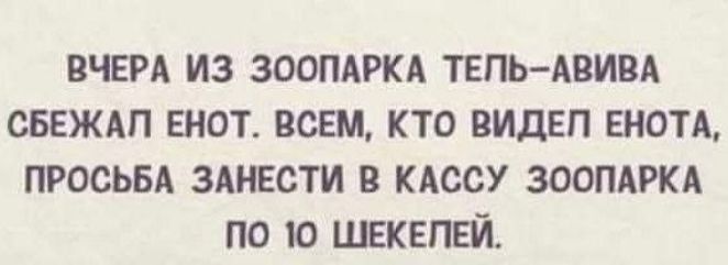 ВЧЕРА ИЗ ЗООПАРКА ТЕЛЬ АВИВА СБЕЖАП ЕНОТ ВСЕМ КТО ВИДЕЛ ЕНОТА ПРОСЬБА ЗАНЕСТИ В КАССУ ЗООПАРКА ПО 10 ШЕКЕЛЕЙ