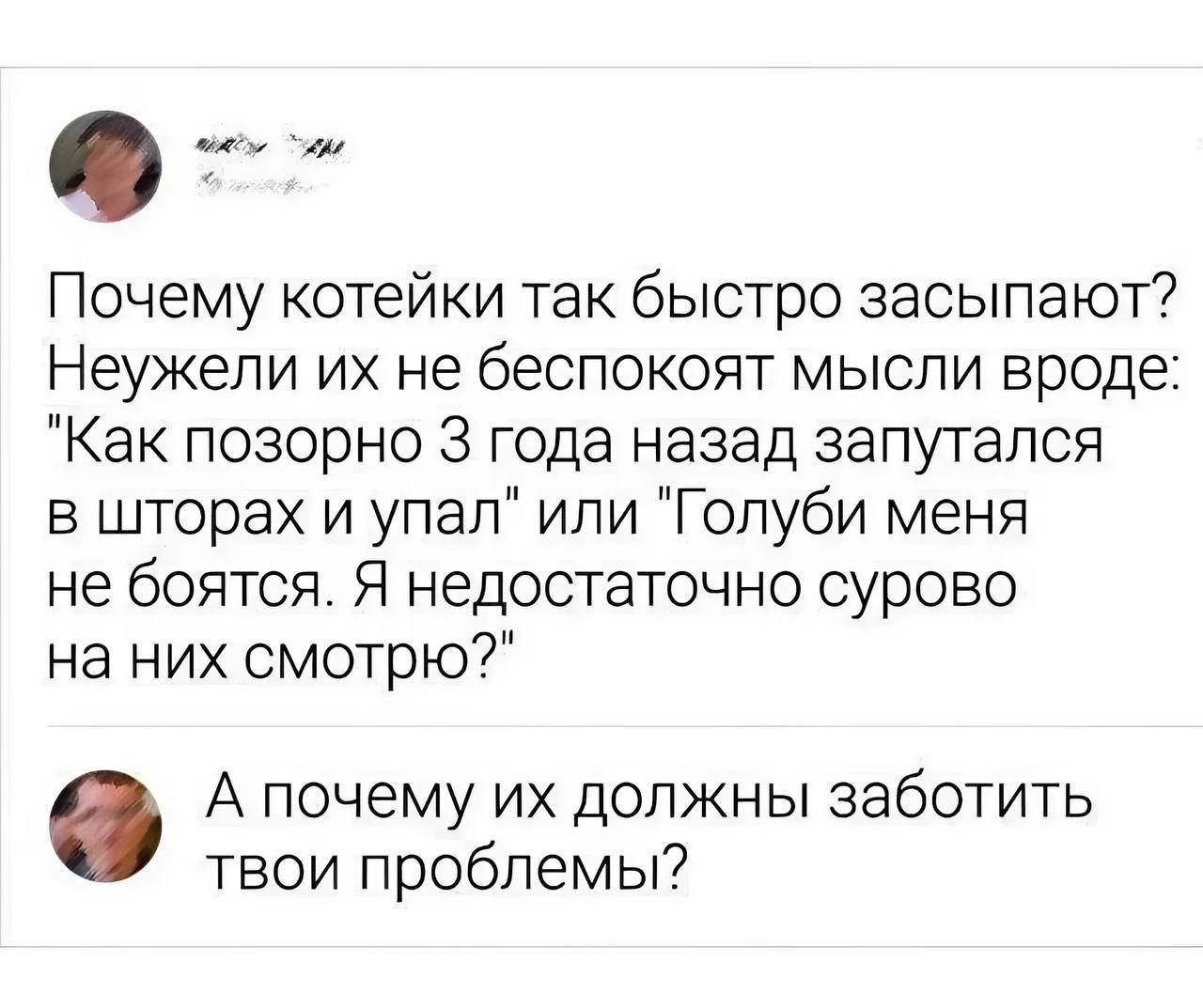 Почему котейки так быстро засыпают Неужели их не беспокоят мысли вроде Как позорно 3 года назад запутался в шторах и упал или Голуби меня не боятся Я недостаточно сурово на них смотрю А почему их должны заботить твои проблемы