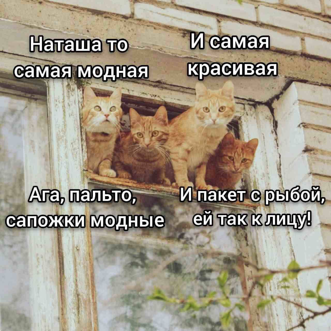 Наташа то самая модная
И самая красивая
Ага, пальто, сапожки модные
И пакет с рыбой, ей так к лицу!