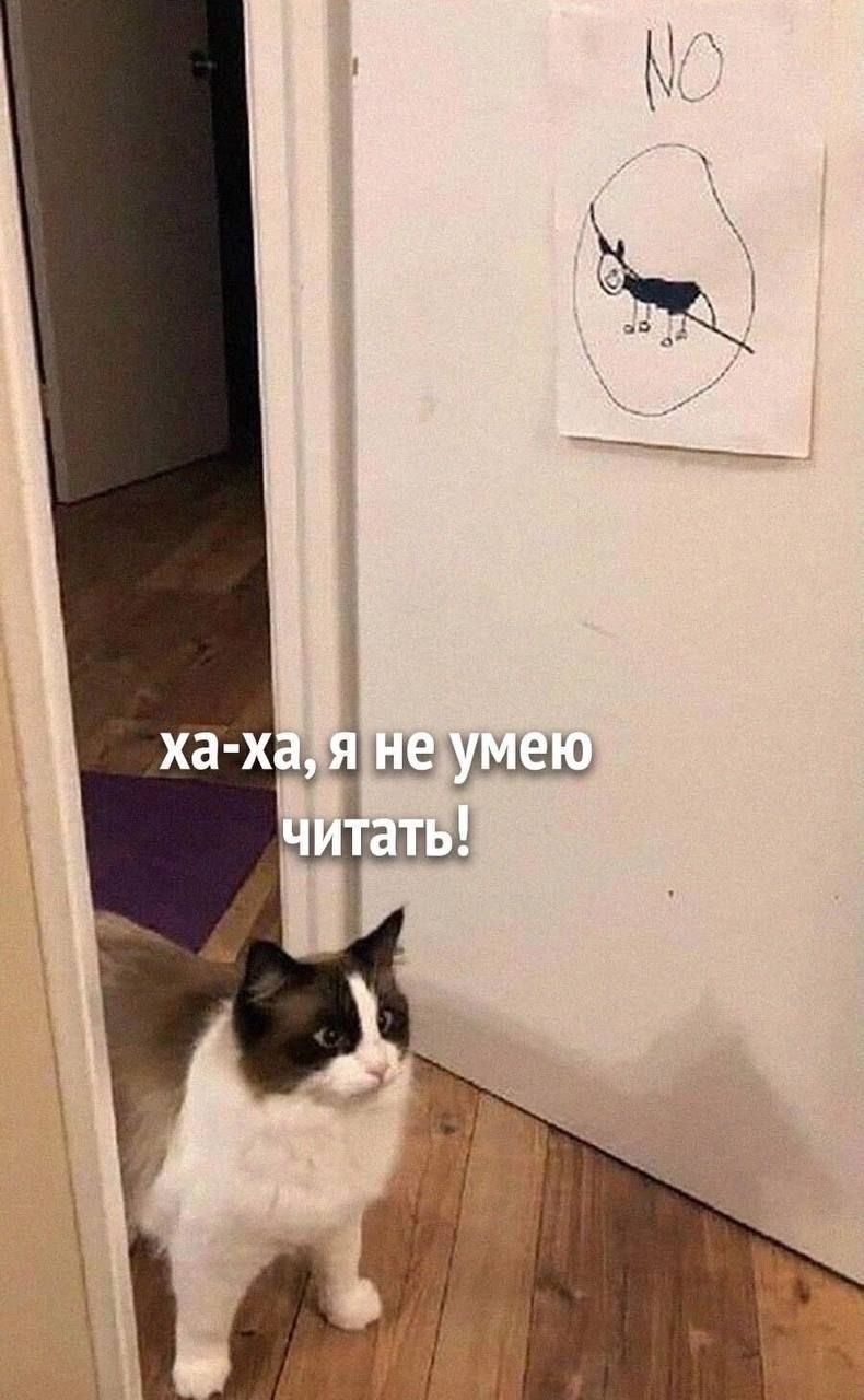 ха-ха, я не умею читать! NO