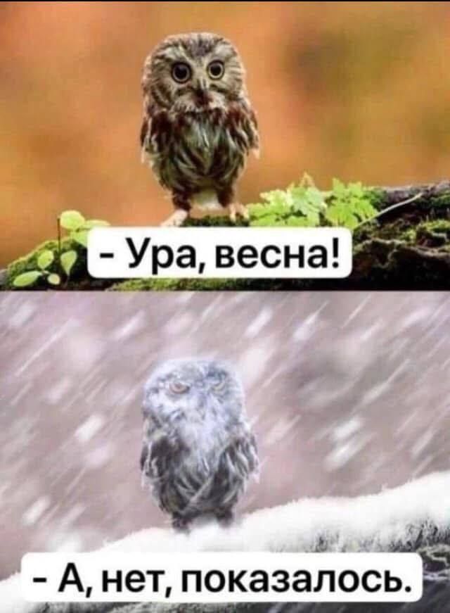 - Ура, весна!
- А, нет, показалось.