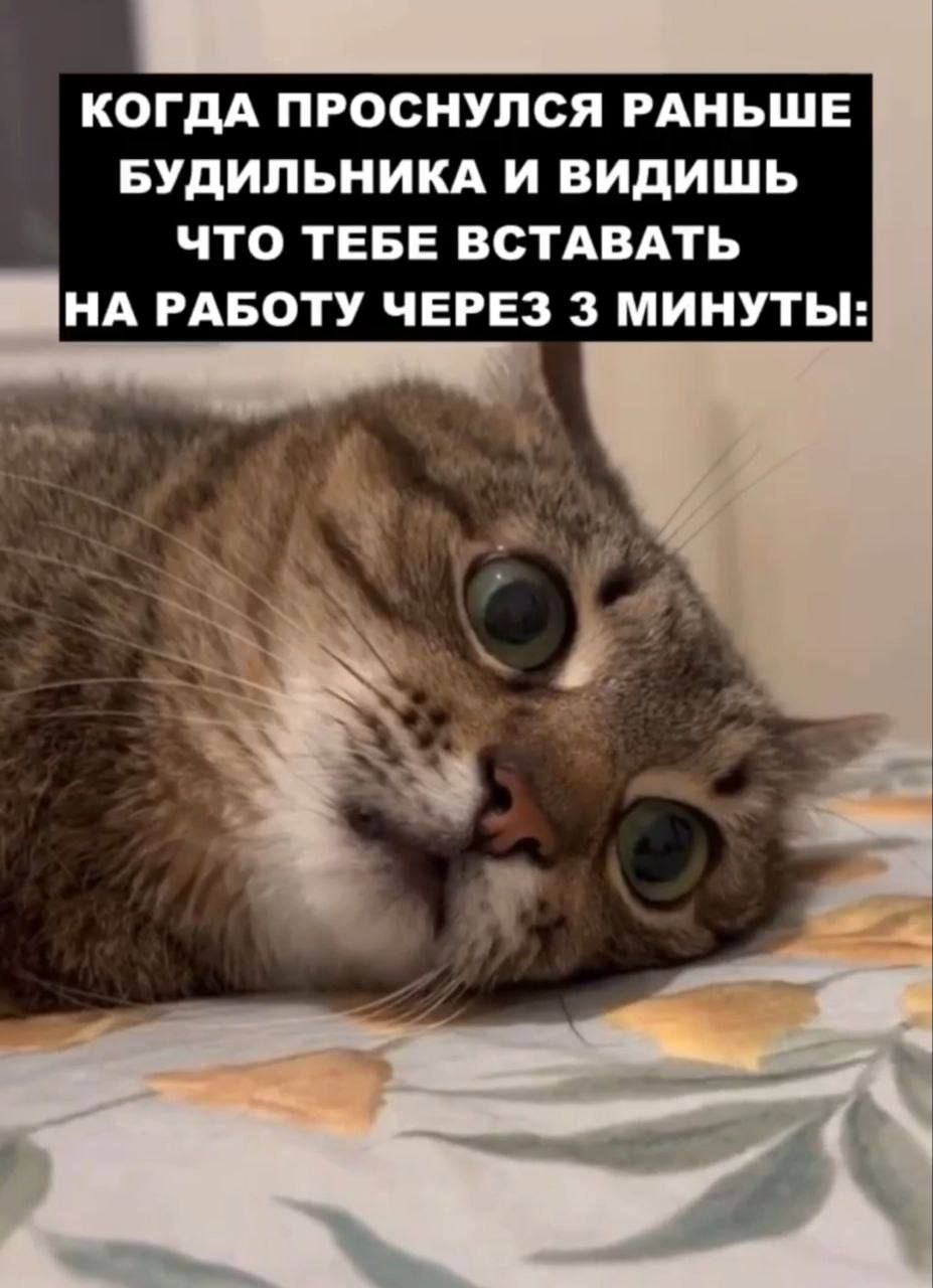 Когда проснулся раньше будильника и видишь что тебе вставать на работу через 3 минуты: