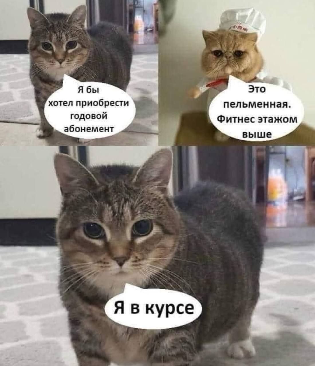 Я бы хотел приобрести годовой абонемент
Это пельменная. Фитнес этажом выше
Я в курсе