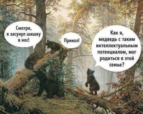 Смотри, я засунул шишку в нос! Прикол! Как я, медведь с таким интеллектуальным потенциалом, мог родиться в этой семье?