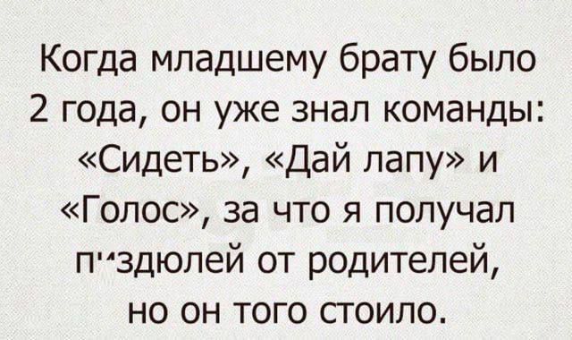 Когда младшему брату было 2 года, он уже знал команды: «Сидеть», «Дай лапу» и «Голос», за что я получал п'здюлей от родителей, но он того стоило.