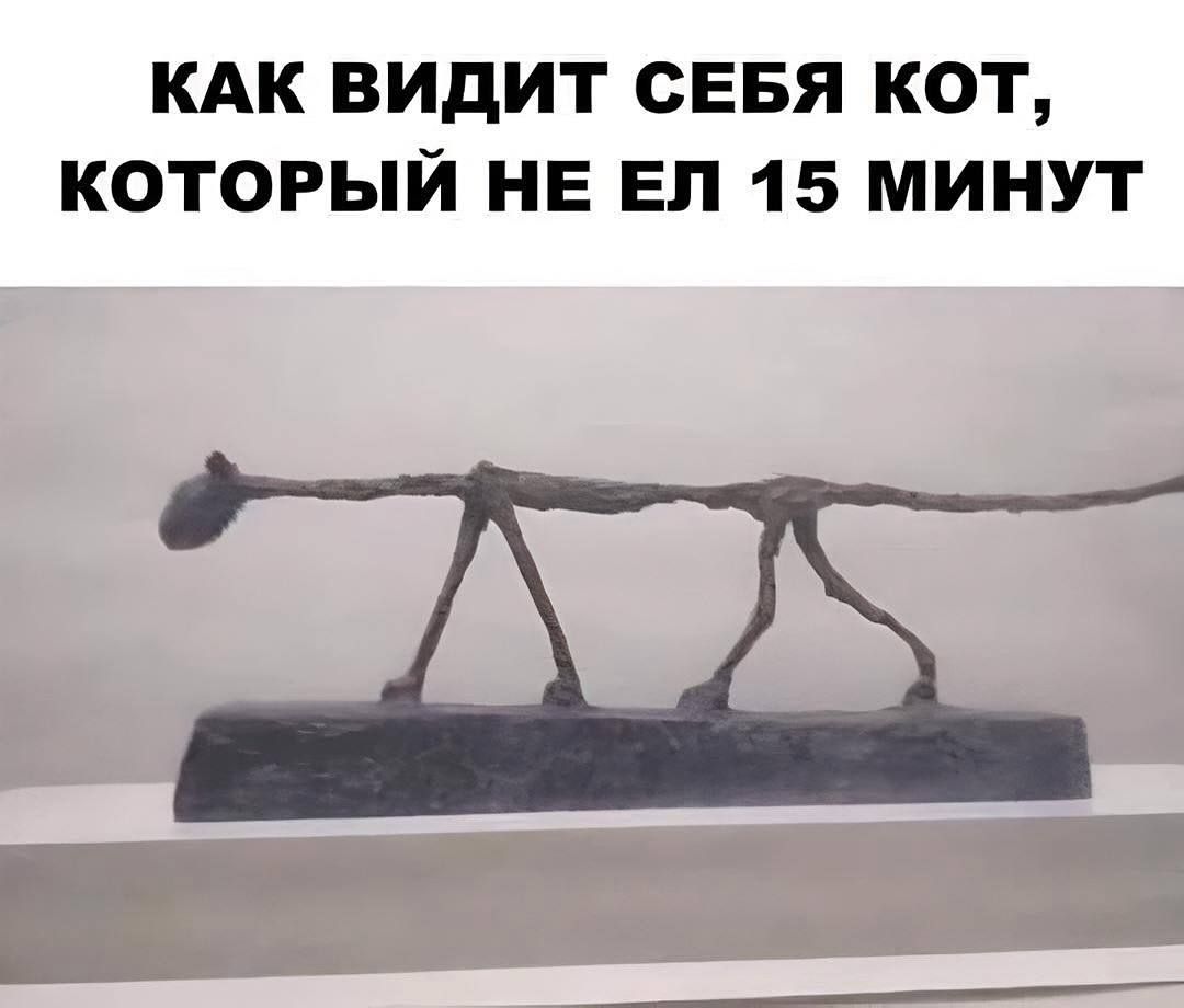 КАК ВИДИТ СЕБЯ КОТ, КОТОРЫЙ НЕ ЕЛ 15 МИНУТ