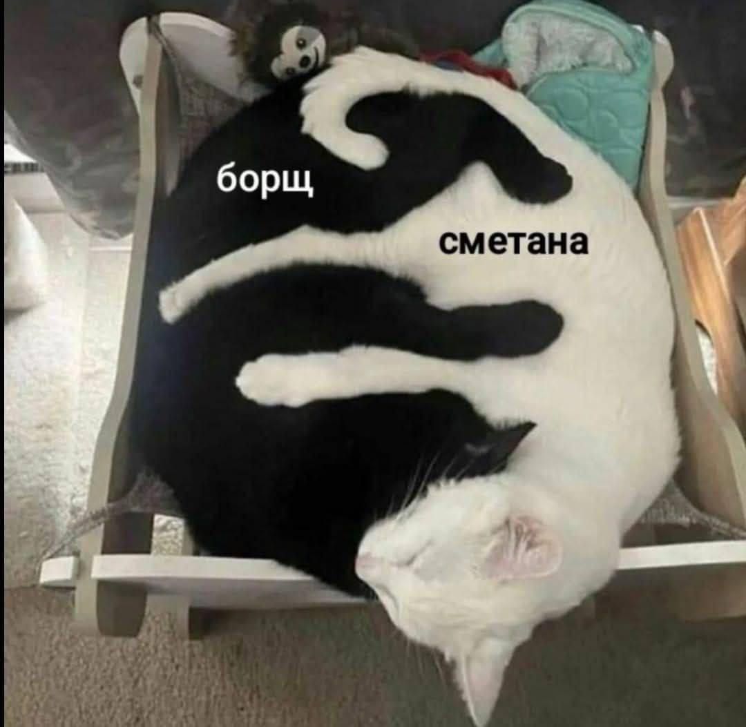 борщ сметана