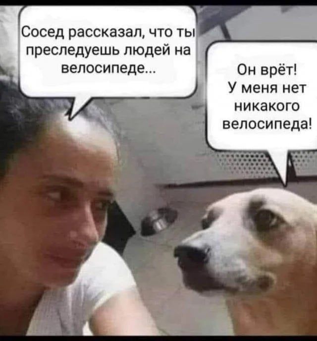 Сосед рассказал, что ты преследуешь людей на велосипеде... Он врет! У меня нет никакого велосипеда!