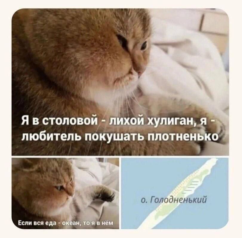 Я в столовой - лихой хулиган, я - любитель покушать плотненько
Если вся еда - океан, то я в нём