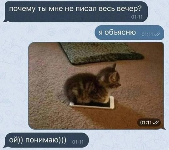 почему ты мне не писал весь вечер? я обьясню ой)) понимаю)))