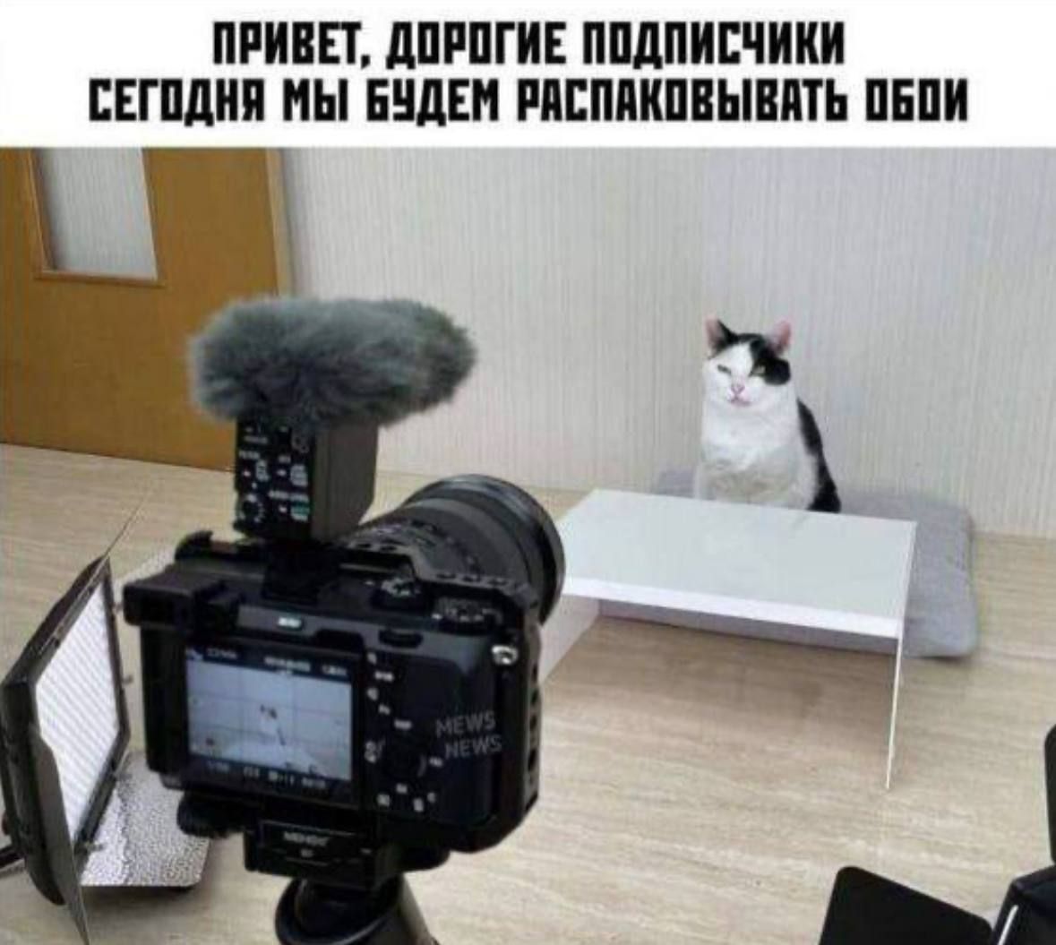 ПРИВЕТ, ДОРОГИЕ ПОДПИСЧИКИ СЕГОДНЯ МЫ БУДЕМ РАСПАКОВЫВАТЬ ОБОИ
