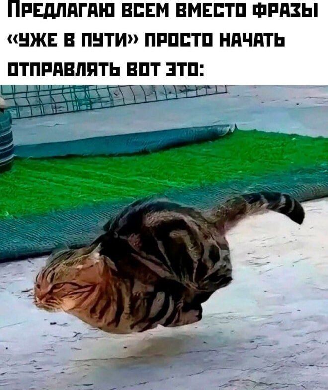 Предлагаю всем вместо фразы «ужe в пути» просто начинать отправлять вот это: