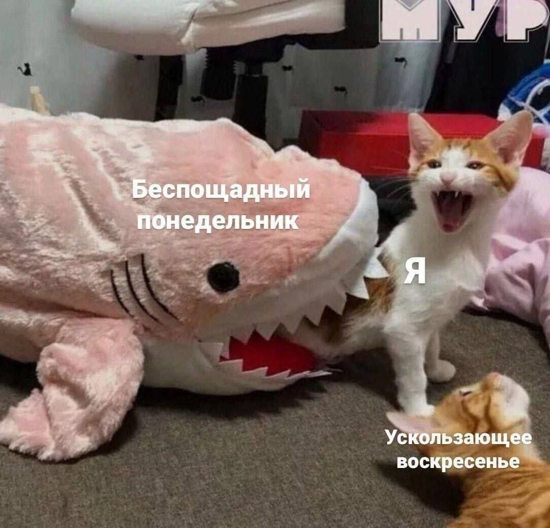 Беспощадный понедельник
Я
Ускользающее воскресенье