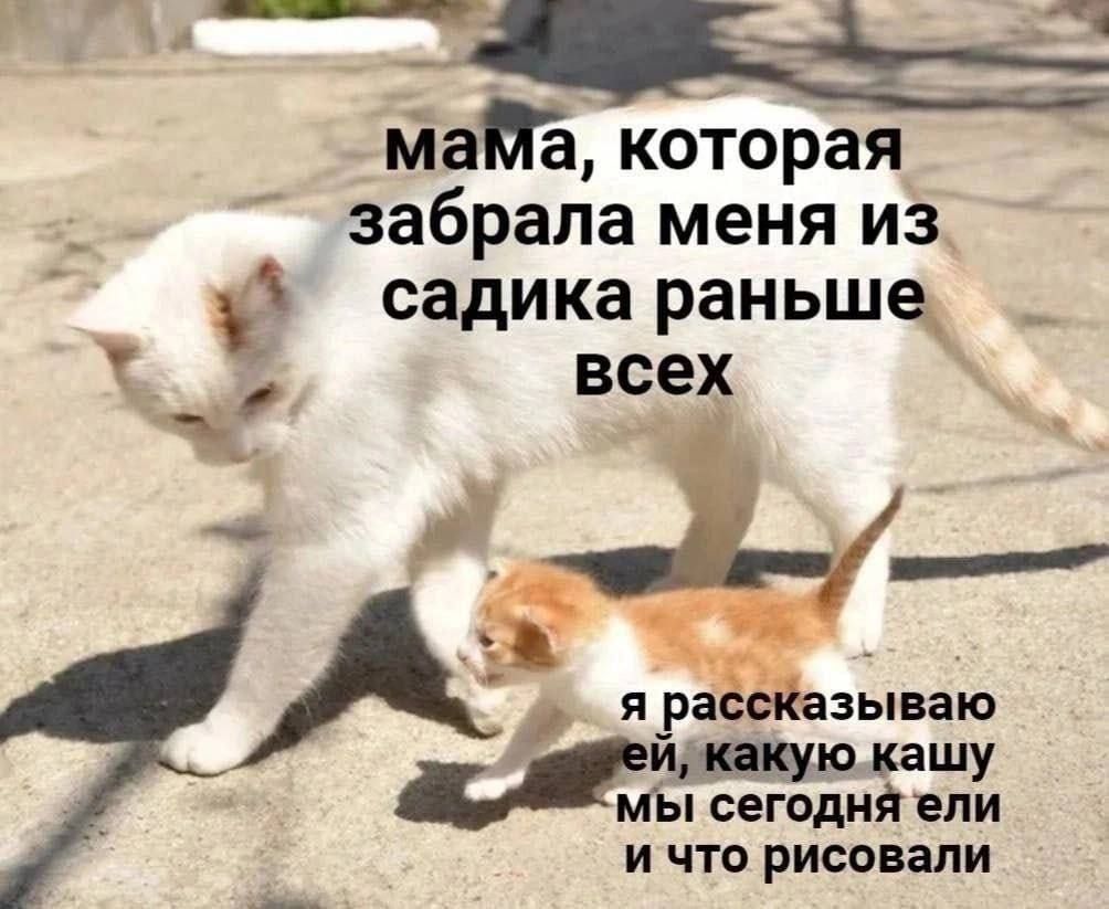 мама, которая забрала меня из садика раньше всех
я рассказываю ей, какую кашу мы сегодня ели и что рисовали