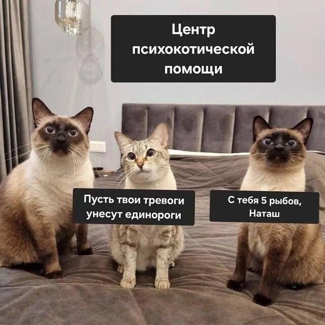 Центр психокоррекционной помощи
Пусть твои тревоги унесут единороги
С тебя 5 рыбов, Наташ
