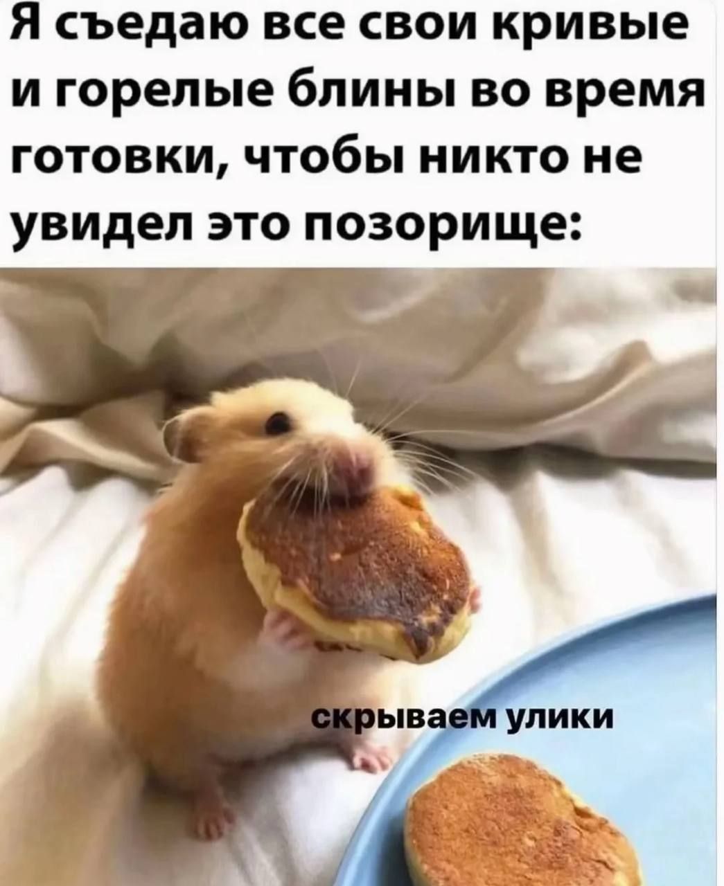 Я съедаю все свои кривые и горелые блины во время готовки, чтобы никто не увидел это позорище:
скрываем улики