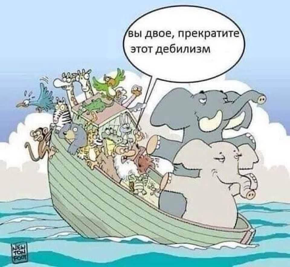вы двое, прекратите этот дебилизм