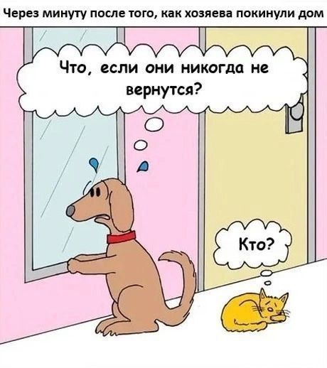 Через минуту после того, как хозяева покинули дом.
Что, если они никогда не вернутся?
Кто?