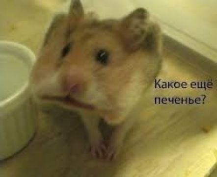 Какое еще печенье?