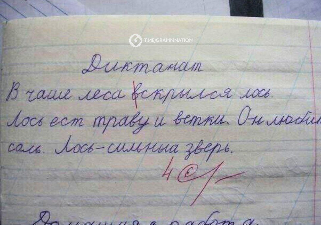 Диктант В чаще леса скрылся лось. Лось ест траву и ветки. Он любит соль. Лось-сильный зверь. 4  1