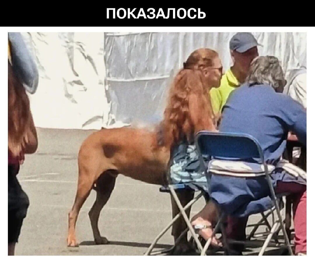 ПОКАЗАЛОСЬ
