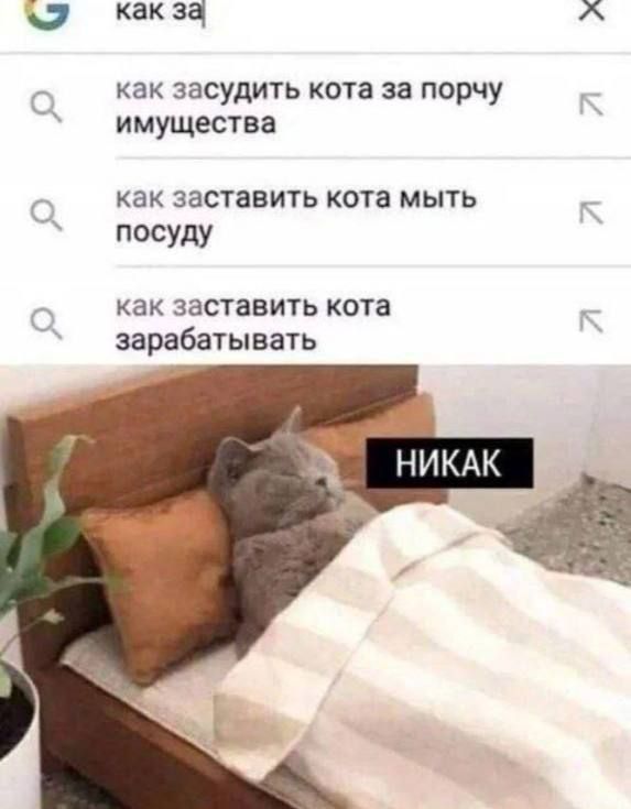 как за

как засудить кота за порчу имущества
как заставить кота мыть посуду
как заставить кота зарабатывать

НИКАК