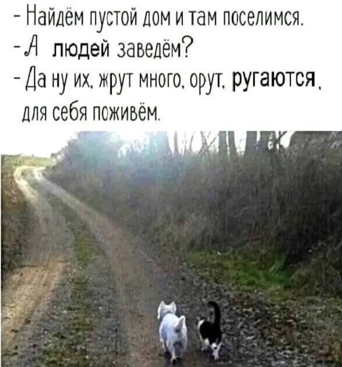 - Найдём пустой дом и там поселимся.
- А людей заведём?
- Да ну их, жрут много, орут, ругаются, для себя поживём.