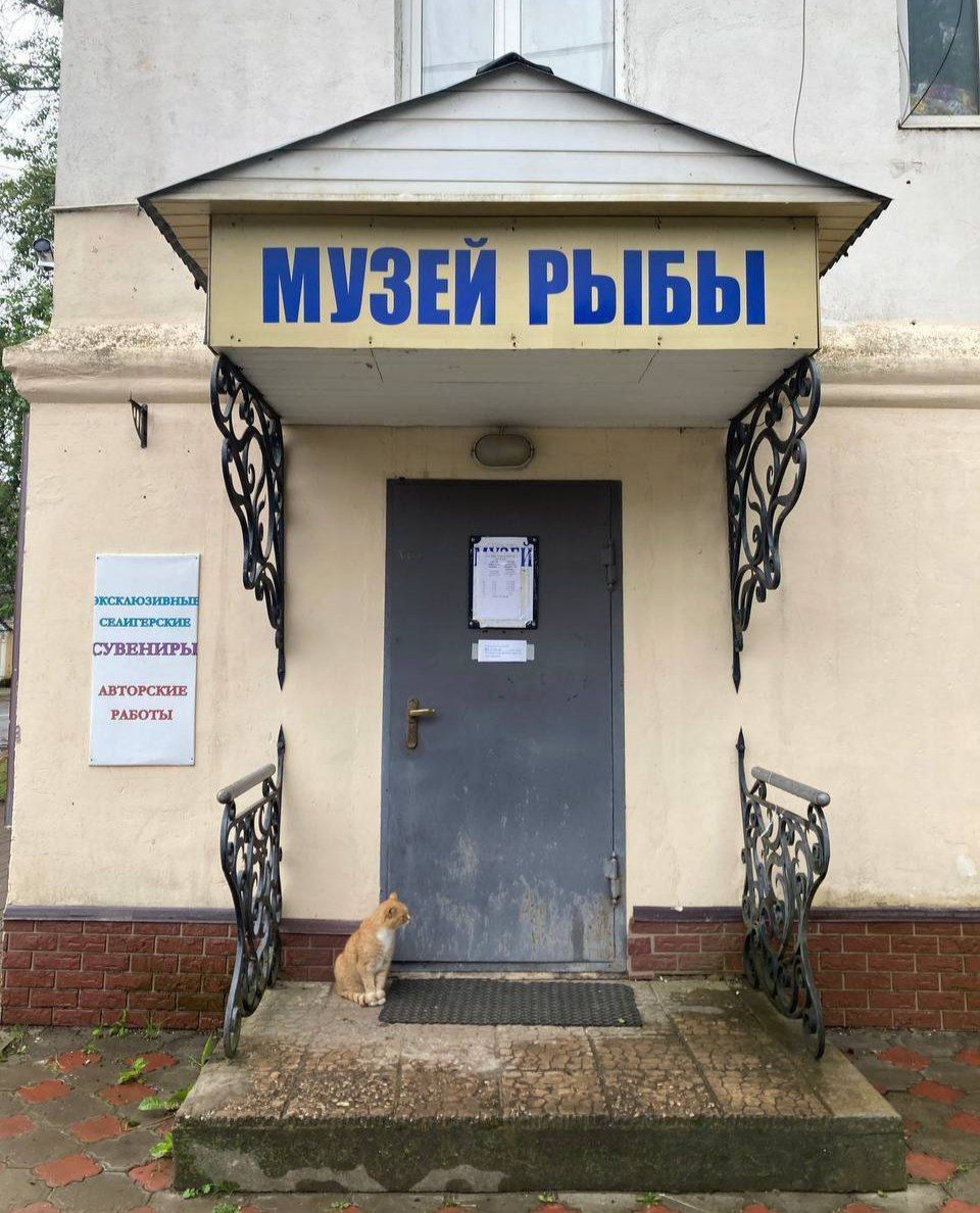 МУЗЕЙ РЫБЫ