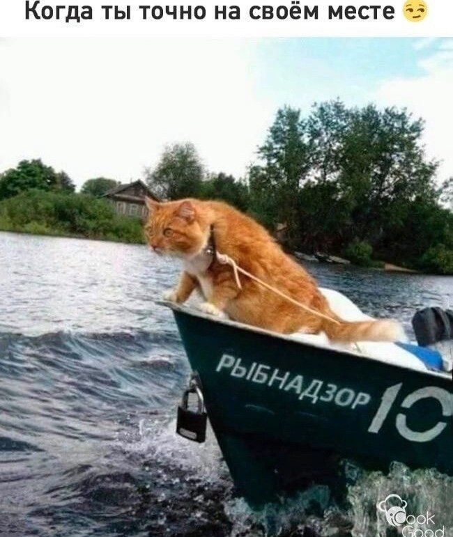 Когда ты точно на своём месте