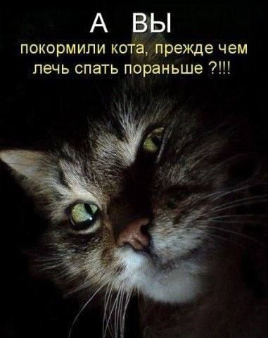 А ВЫ покормили кота, прежде чем лечь спать пораньше ?!!!
