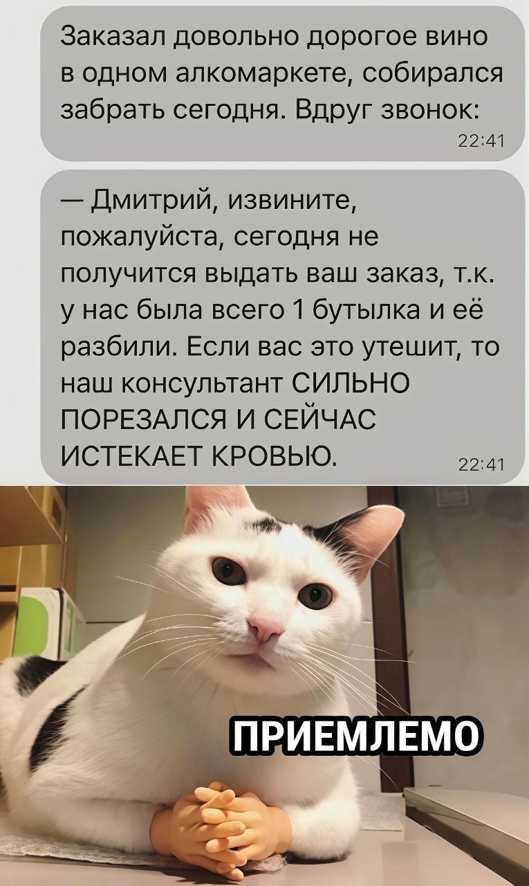 Заказал довольно дорогое вино в одном алкомаркете, собирался забрать сегодня. Вдруг звонок:
— Дмитрий, извините, пожалуйста, сегодня не получится выдать ваш заказ, т.к. у нас была всего 1 бутылка и её разбили. Если вас это утешит, то наш консультант СИЛЬНО ПОРЕЗАЛСЯ И СЕЙЧАС ИСТЕКАЕТ КРОВЬЮ.