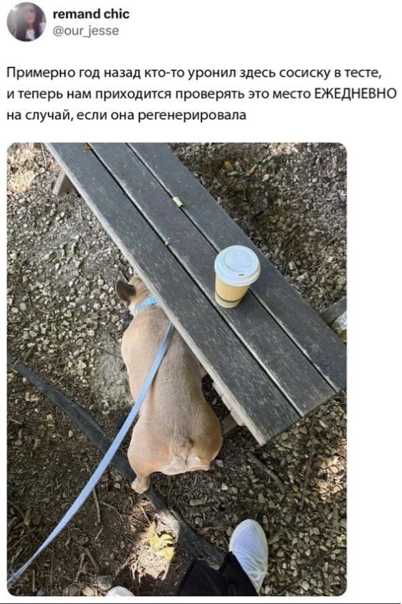 Примерно год назад кто-то уронил здесь сосиску в тесте, и теперь нам приходится проверять это место ЕЖЕДНЕВНО на случай, если она регенерировала.