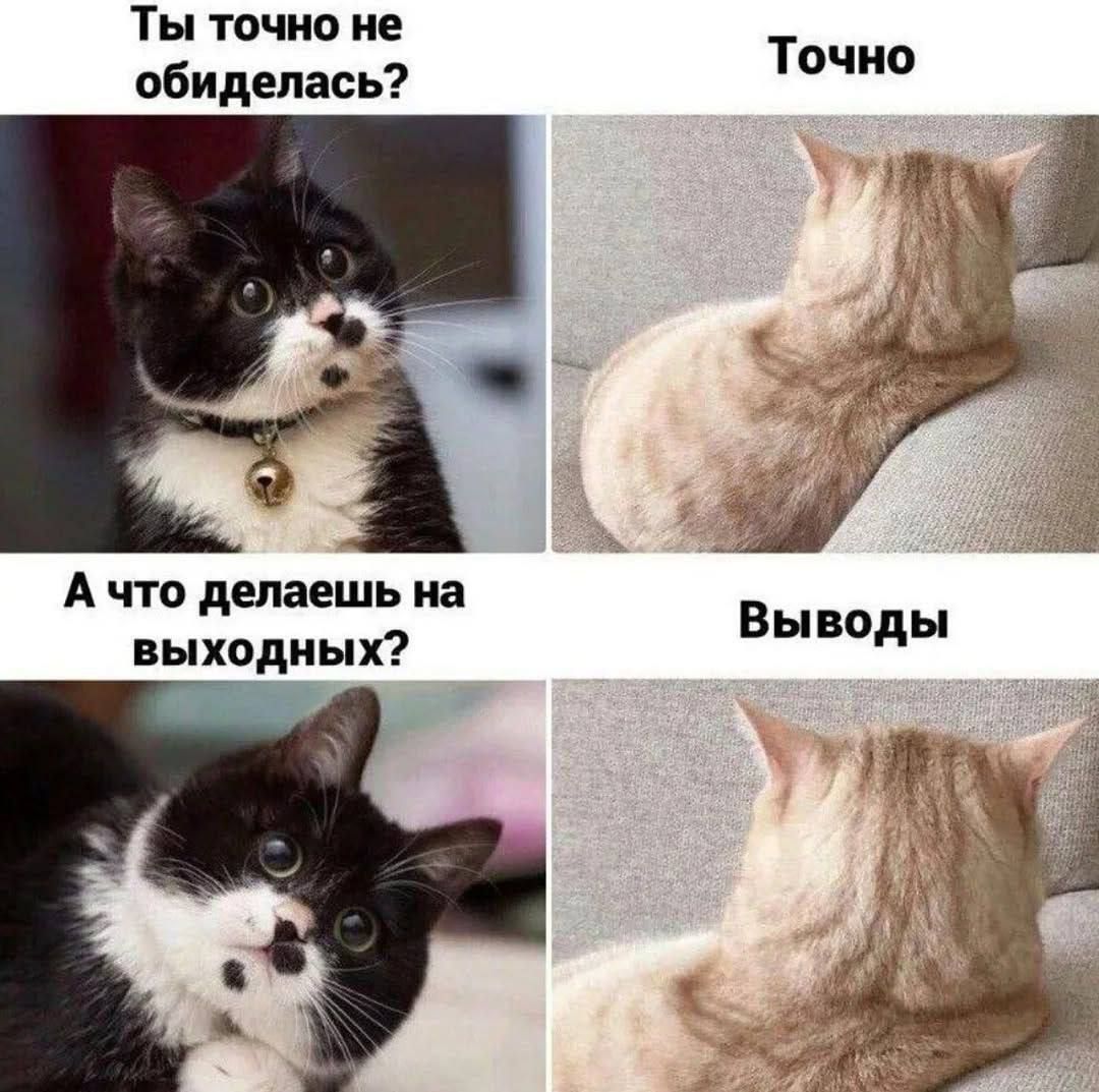 Ты точно не обиделась? Точно
А что делаешь на выходных? Выводы