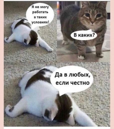Я не могу работать в таких условиях! В каких? Да в любых, если честно.