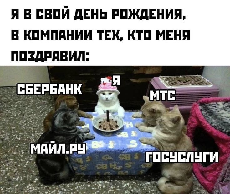 Я в свой день рождения, в компании тех, кто меня поздравил: СБЕРБАНК, Я, МТС, МАЙЛ.РУ, ГОСУСЛУГИ