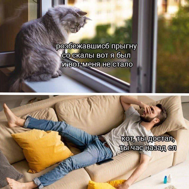 разбежавшись прыгну со скалы вот я был и вот меня не стало кот, ты достал, ты час назад ел