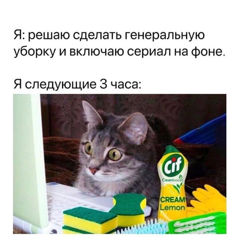 Я: решаю сделать генеральную уборку и включаю сериал на фоне. Я следующие 3 часа: