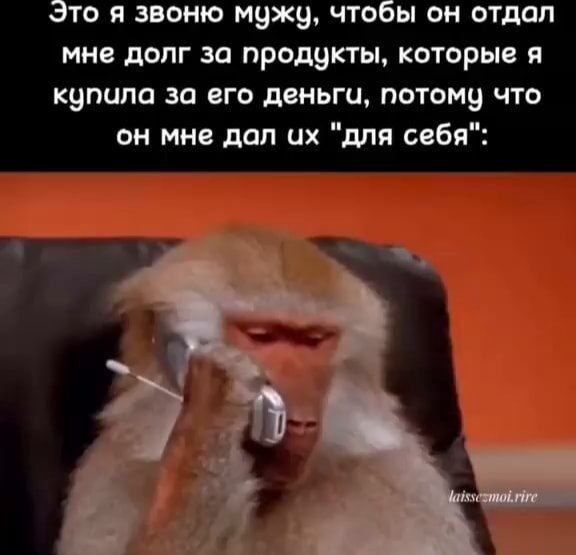 Это я звоню мужу, чтобы он отдал мне долг за продукты, которые я купила за его деньги, потому что он мне дал их 