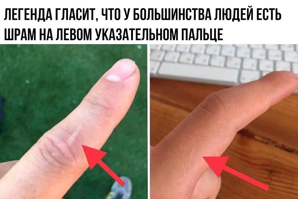 ЛЕГЕНДА ГЛАСИТ, ЧТО У БОЛЬШИНСТВА ЛЮДЕЙ ЕСТЬ ШРАМ НА ЛЕВОМ УКАЗАТЕЛЬНОМ ПАЛЬЦЕ