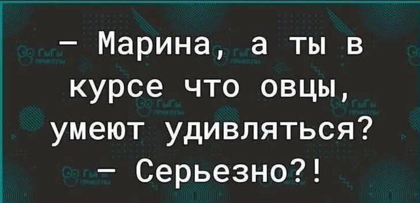 Марина, а ты в курсе что овцы, умеют удивляться? — Серьезно?!