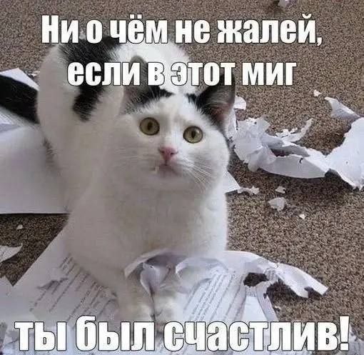 Ни о чём не жалей, если в этот миг ты был счастлив!