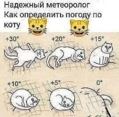 Надежный метеоролог. Как определить погоду по коту. +30° (кот лежит раскинувшись), +20° (кот лежит на боку), +15° (кот сидит), +10° (кот свернулся), +5° (кот свернулся клубком), 0° (кот исчез, остался только хвост).
